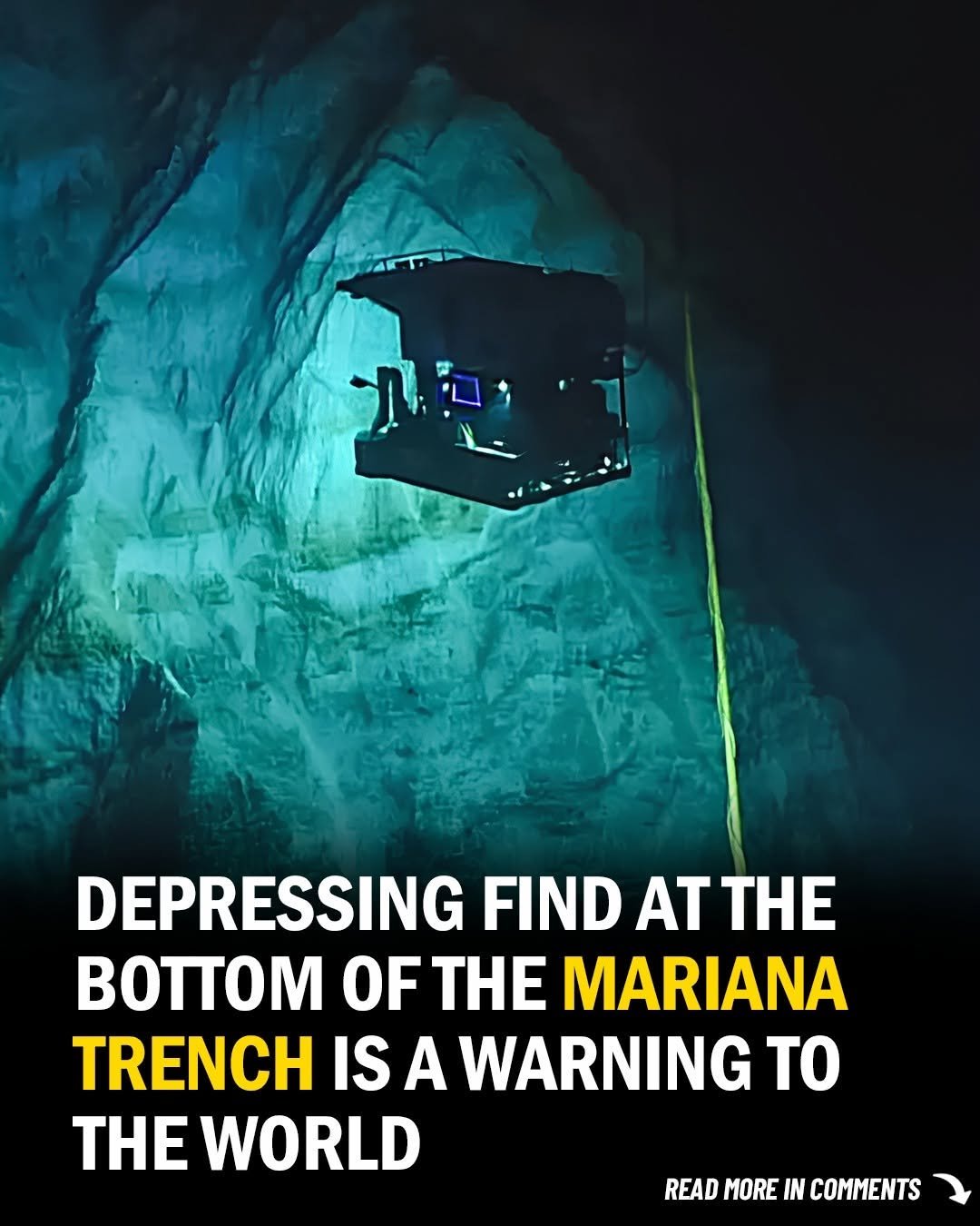 It Was Spotted 35,000 Feet Deep in the Mariana Trench