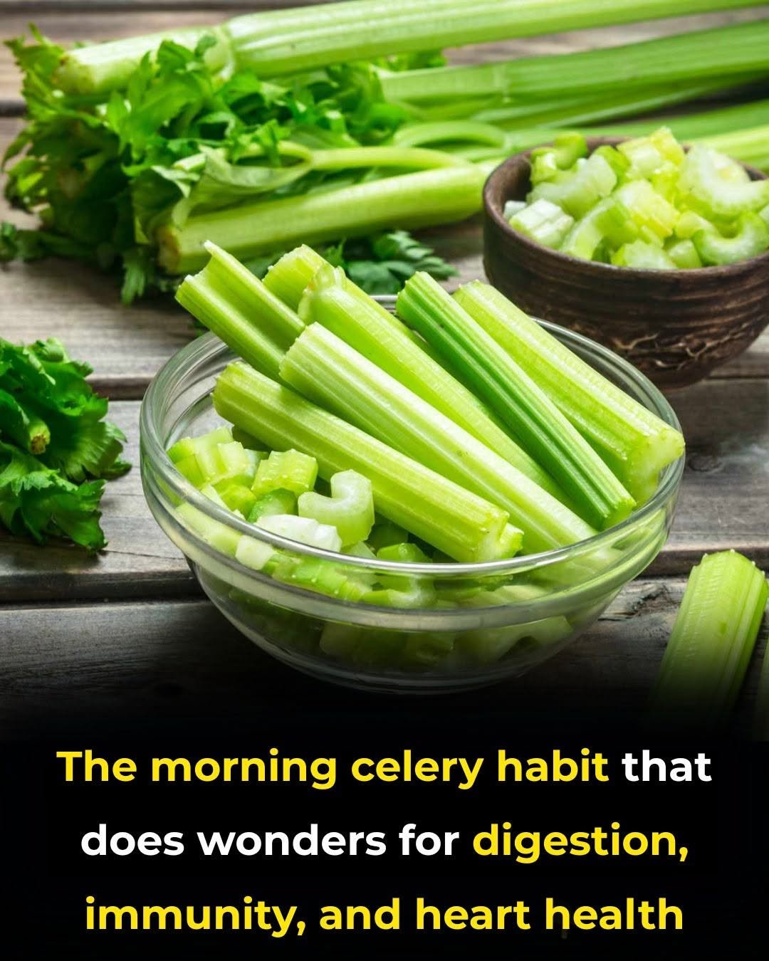 Proven Health Benefits of Celery & Nutrition Facts (Evidence Based)