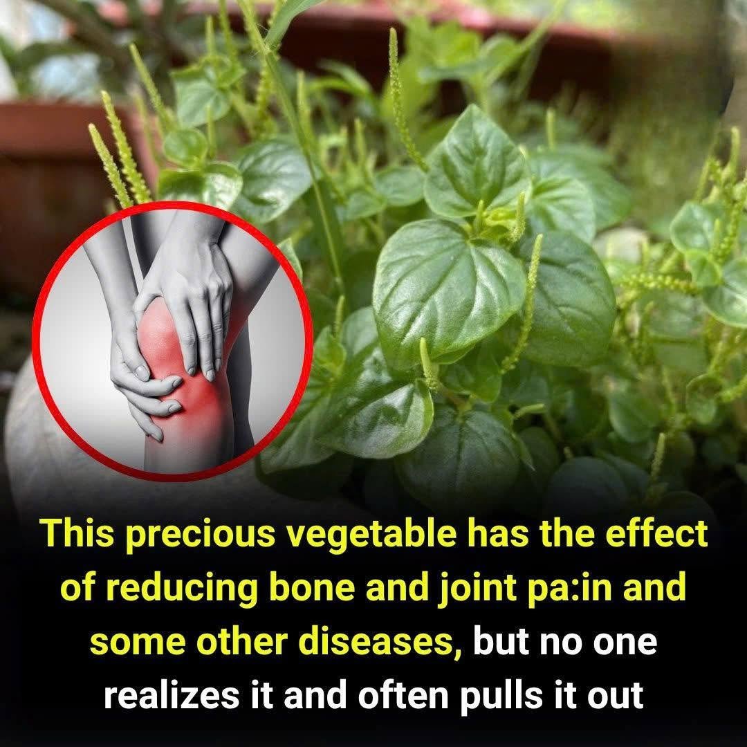 This Precious Vegetable Can Support Joint and Bone Health — Yet Many People Pull It Out