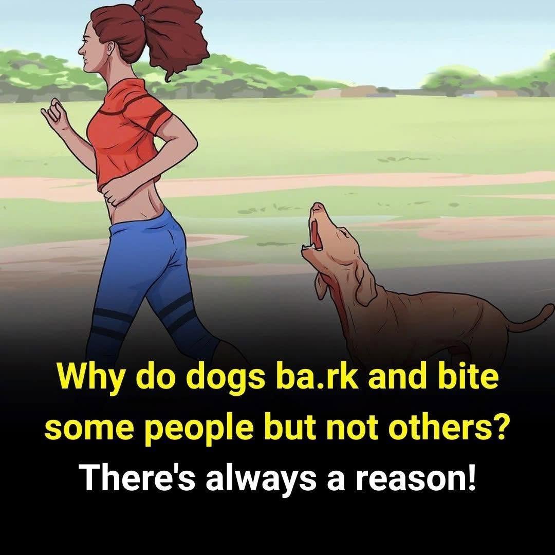 Now I Understand Everything Has a Reason! What Everyday Body Changes May Be Trying to Tell You