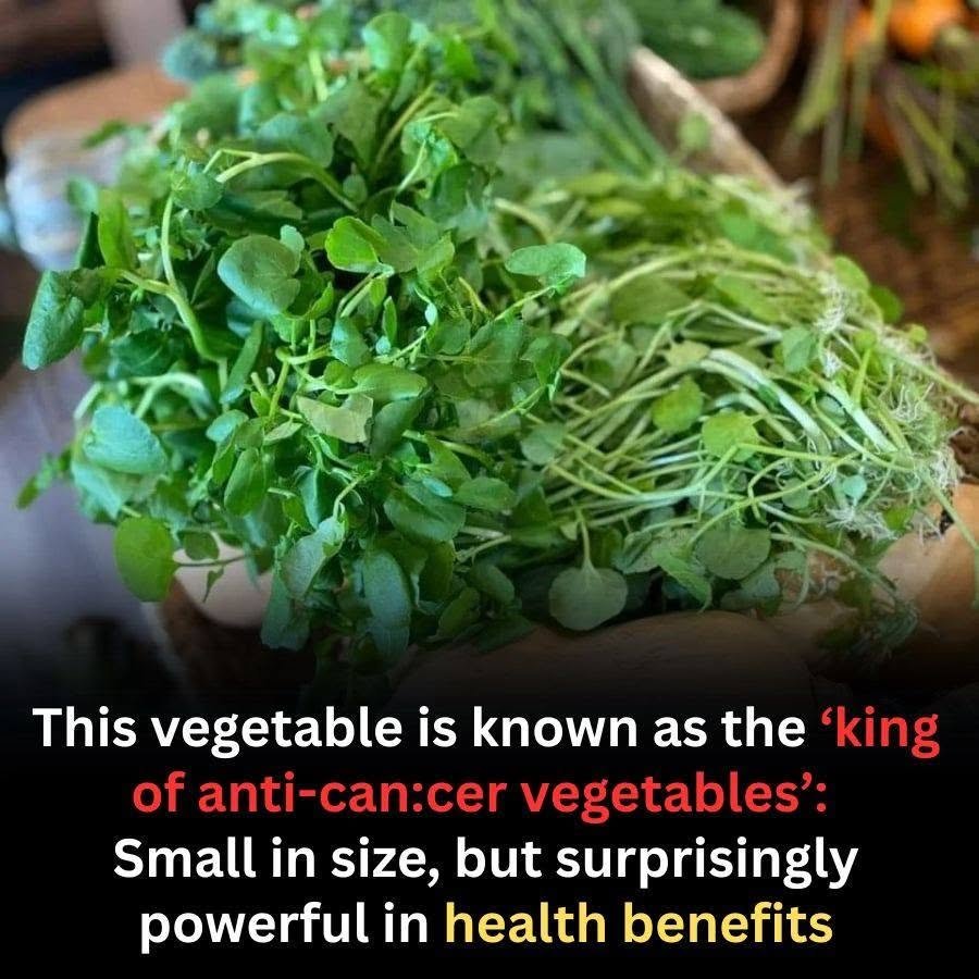 Tiny Vegetable, Massive Health Benefits — Why Broccoli Sprouts Are Studied for Cancer Prevention