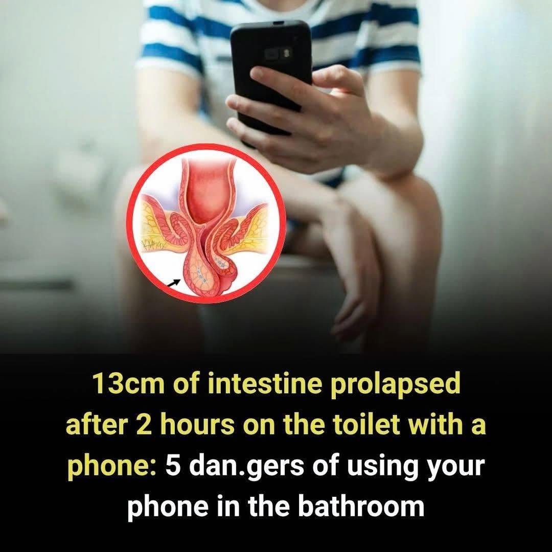 Using a Phone While Going to the Bathroom Is a Harmful Habit