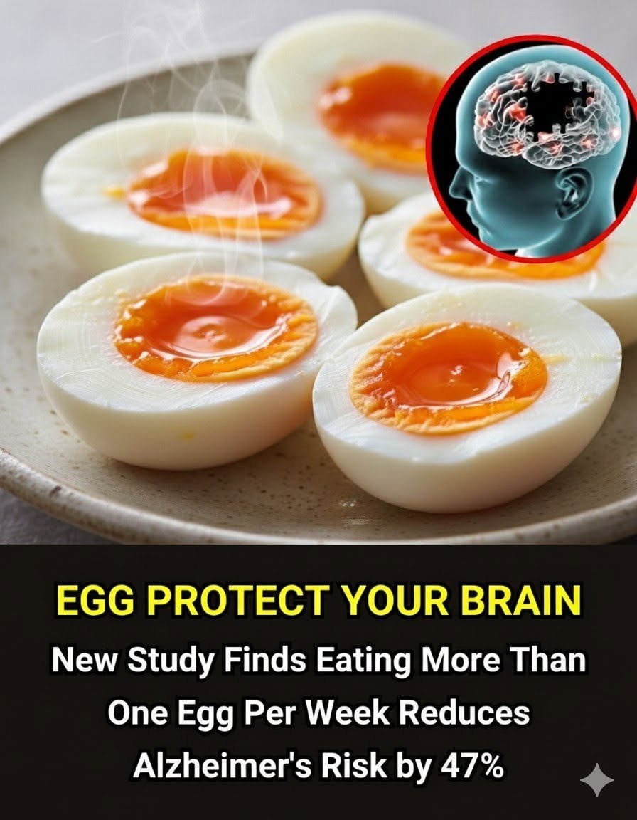 Want Better Memory? Start With an Egg — What the Science Really Shows