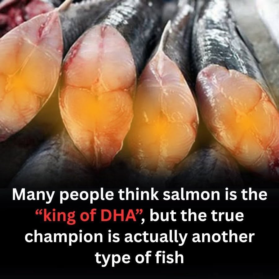 Thought Salmon Was the DHA King? The Real Champion Is a Fish You’ve Probably Ignored