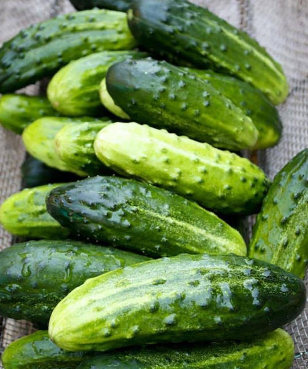 Doctors Reveal That Eating Cucumber in Salads Causes… See More