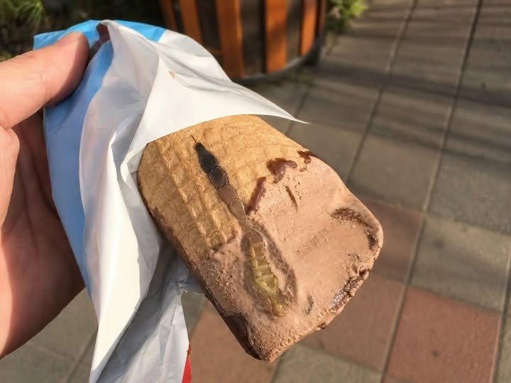 My Daughter Opened Her Favorite Chocolate Ice Cream Today