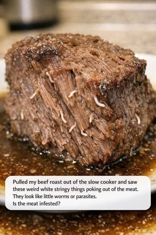 White Stringy Things in Cooked Beef: Is the Meat Infested?