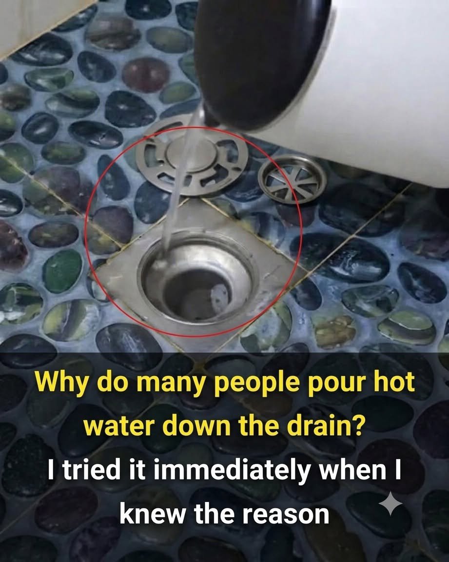 This Common Kitchen Habit Could Affect Your Plumbing More Than You Think…