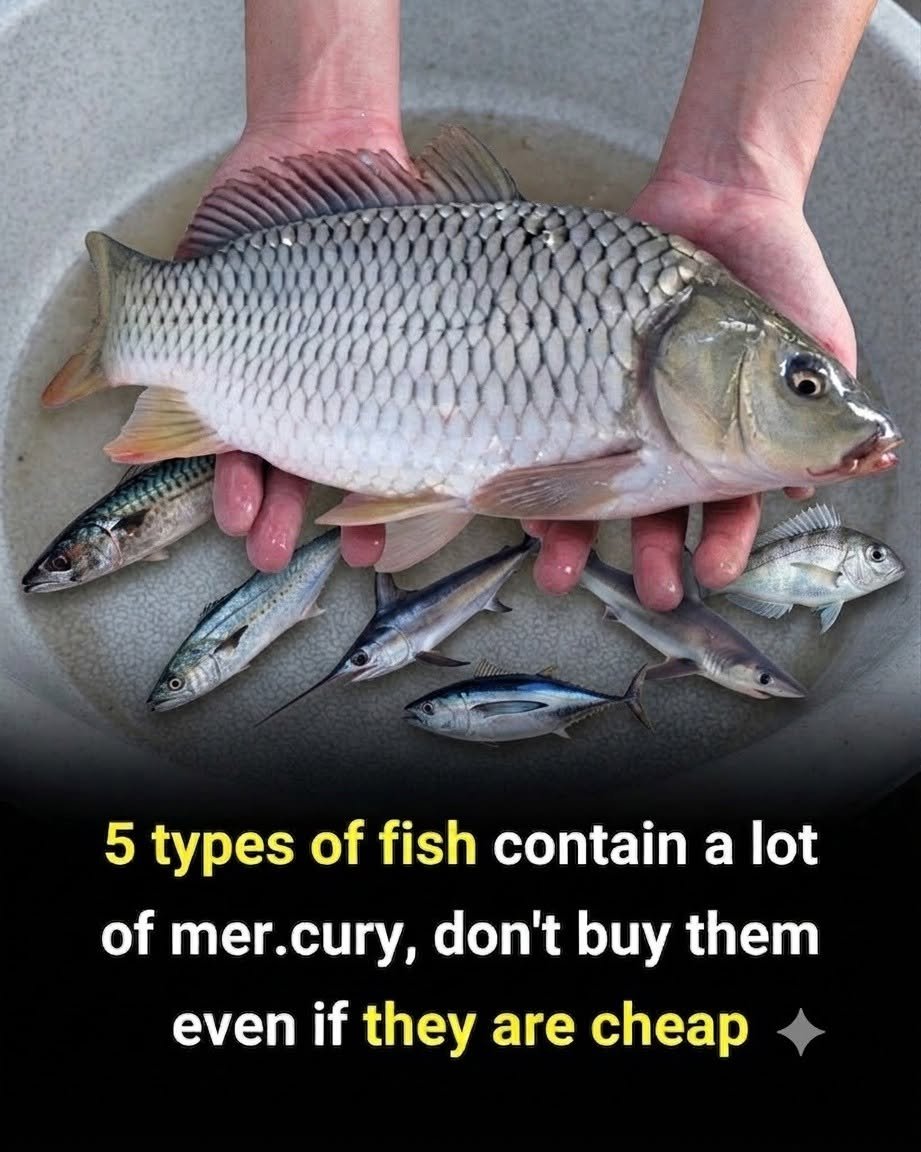 The Fish You Eat Most Often Could Contain More Mercury Than Expected