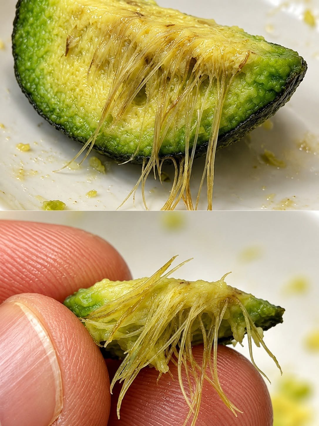 I Found This Inside an Avocado — What Is It?