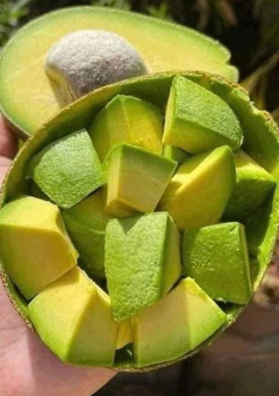Doctors Reveal That Eating Avocados Causes… See More