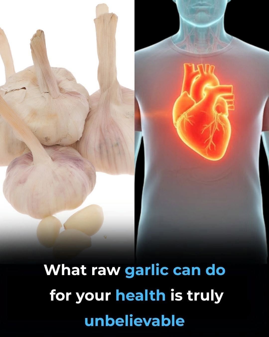 Why Garlic Has Been Studied for Its Potential Health Benefits