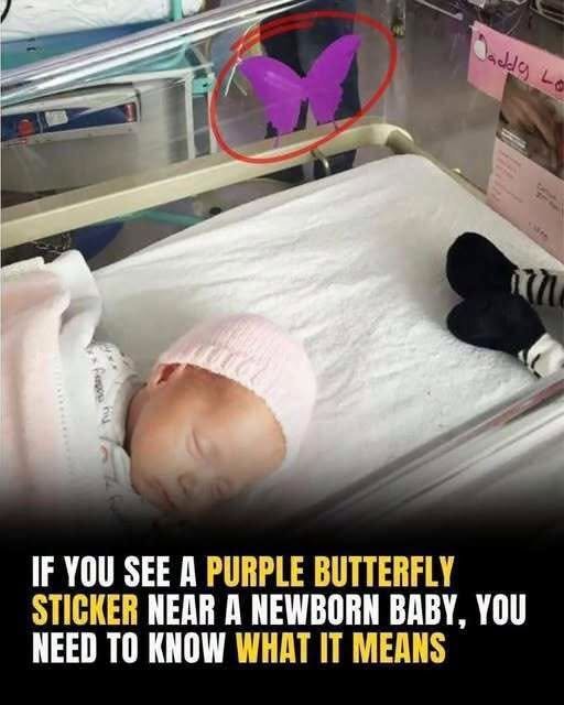 I Never Knew This — The Little Things We Often Overlook