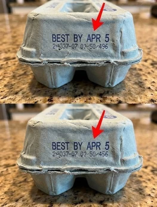Decoding Egg Carton Julian Dates: The Secret to Maximum Freshness