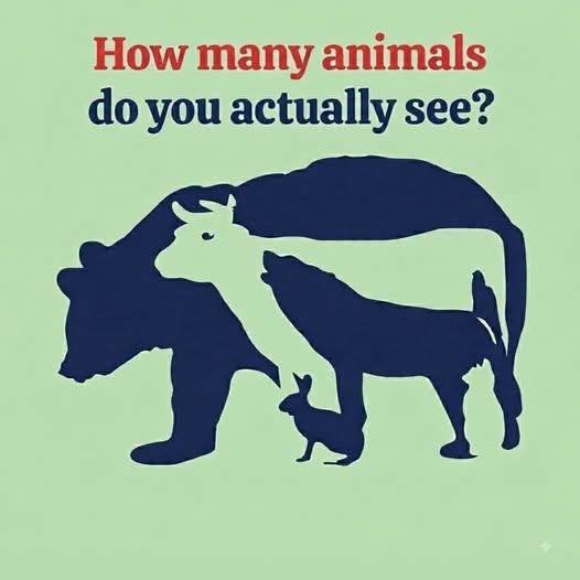 Optical illusion pictures featuring multiple animals have become popular because they encourage people to look closely and notice details that may be easy to miss at first. A person might immediately see a rabbit, bird, elephant, fox, cat, or another hidden figure, while someone else looking at exactly the same image may notice something completely different. This difference is often influenced by visual perception, attention, experience, and the way the brain processes shapes and patterns. Because of this, the animal you notice first can be an entertaining way to explore personality themes or personal preferences. However, it is important to distinguish entertainment from scientifically validated predictions. Seeing one particular animal does not scientifically determine whether someone will become wealthy, successful, fortunate, or unlucky. Nevertheless, these visual puzzles can be a fun conversation starter and may encourage people to think about how differently individuals interpret the same information.