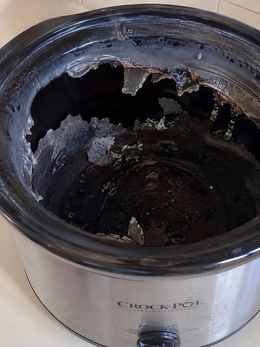 I Got My First Slow Cooker Last Week—and My Roommate Made One Very Expensive Mistake