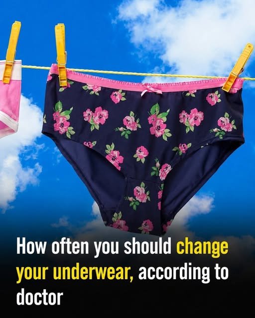 Hygienic Standards: How Often You Should Change Your Underwear