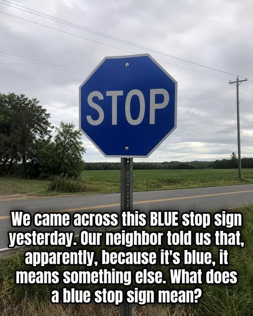 Debunking Traffic Myths: The Truth Behind Blue Stop Signs