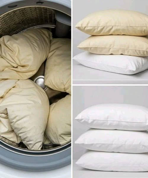 Over time, sweat, body oils, and drool seep through pillowcases, turning white pillows yellow.