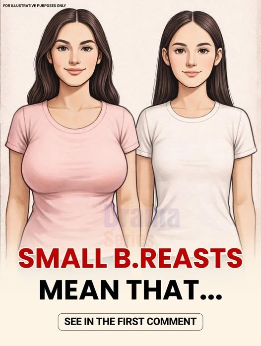 Understanding Breast Size Variations: Biology, Function, and Health Myths