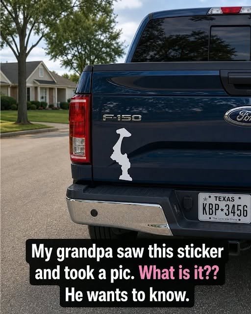 Geographic Outlines: Identifying Bumper Decals