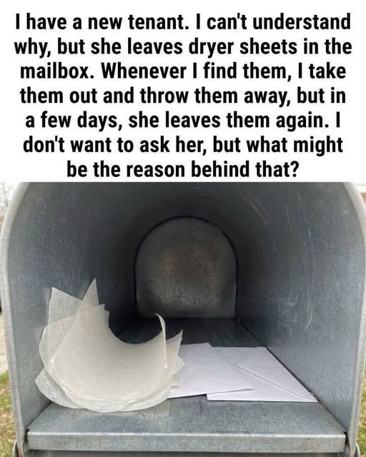 Leaving a dryer sheet inside a mailbox is a well-known pest-repellent trick used by mail carriers and homeowners.