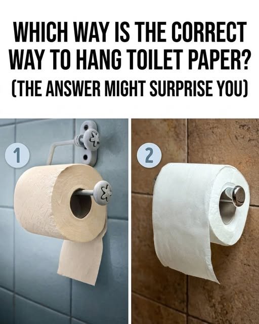 Option 2 (the “over” orientation) is considered the correct way to hang toilet paper based on historical evidence, hygiene research, and user convenience.