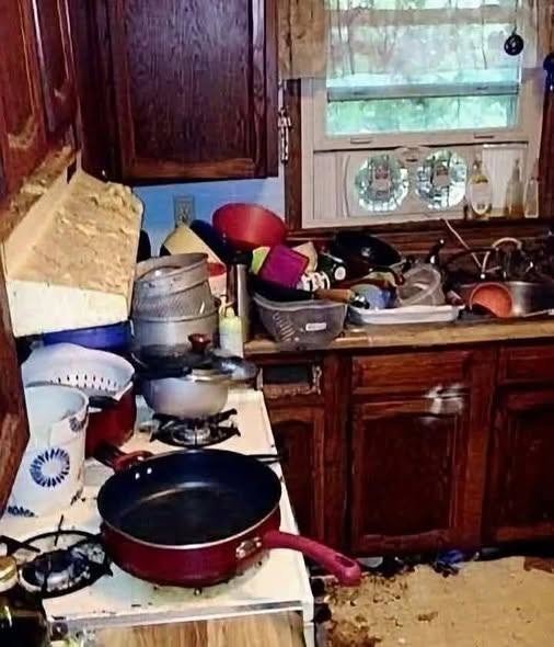 Understanding Household Mess: Science and Social Media Context