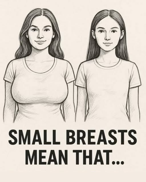 Biological & Human Physiology Reality: What Breast Size Actually Indicates