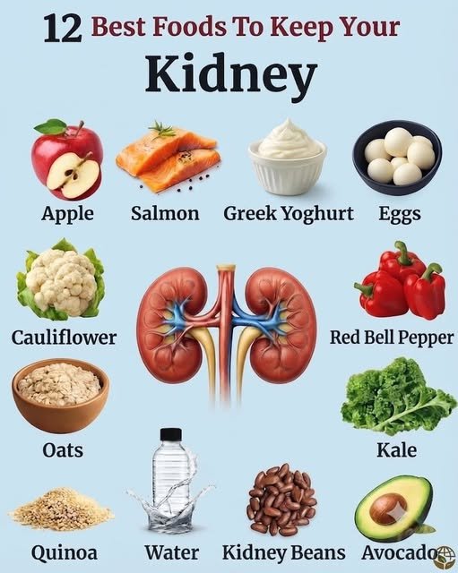 Nutritional Reality: Evaluating “Kidney-Friendly” Food Charts