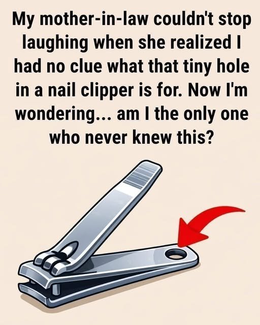 Practical Reality: The True Function of the Hole in a Nail Clipper