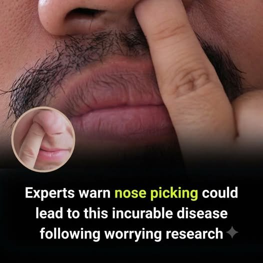 Neurological Research Reality: The Nose-Picking & Alzheimer’s Connection