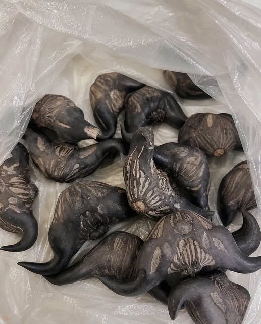 How to Prepare and Eat Them