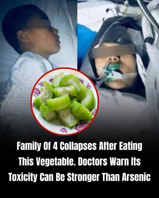 Toxic Cucurbit Syndrome: Bitter Gourds and Sensationalized Health Warnings