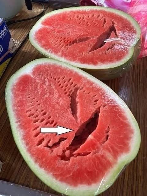 Botanical Reality: Hollow Heart Condition in Watermelons